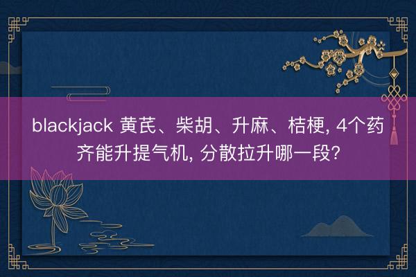 blackjack 黄芪、柴胡、升麻、桔梗, 4个药齐能升提气机, 分散拉升哪一段?