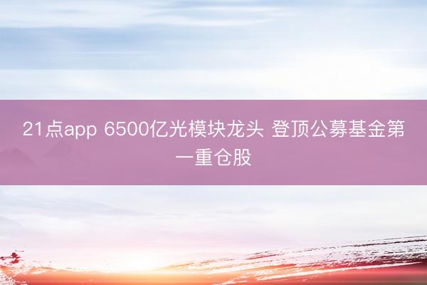 21点app 6500亿光模块龙头 登顶公募基金第一重仓股