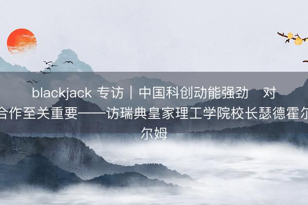 blackjack 专访|中国科创动能强劲 对华合作至关重要——访瑞典皇家理工学院校长瑟德霍尔姆