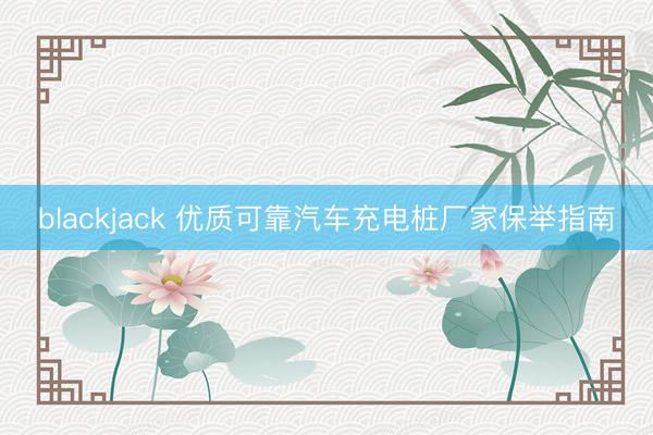 blackjack 优质可靠汽车充电桩厂家保举指南