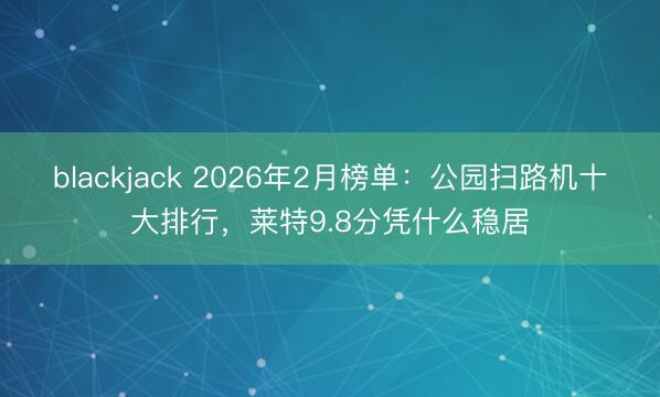 blackjack 2026年2月榜单：公园扫路机十大排行，莱特9.8分凭什么稳居