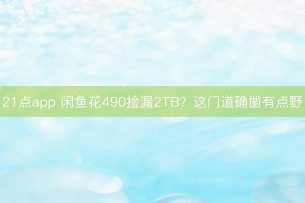 21点app 闲鱼花490捡漏2TB？这门道确凿有点野