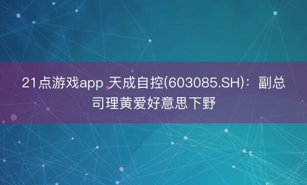 21点游戏app 天成自控(603085.SH):副总司理黄爱好意思下野