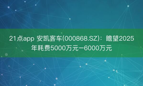 21点app 安凯客车(000868.SZ)：瞻望2025年耗费5000万元–6000万元