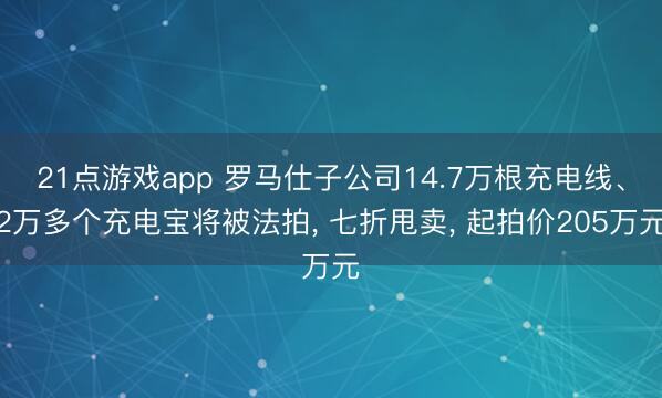 21点游戏app 罗马仕子公司14.7万根充电线、2万多个充电宝将被法拍, 七折甩卖, 起拍价205万元
